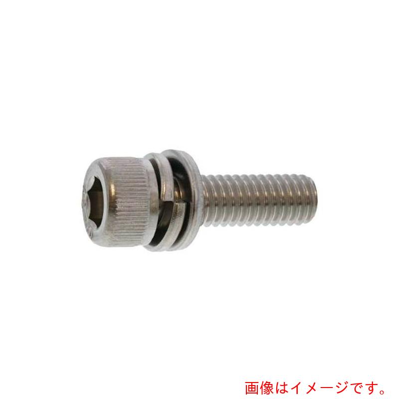サンコーインダストリー（SUNCO） ステンＣＡＰ Ｉ＝４ ４×１０ （１０００本入） 【品番：A0-02-9140-00400100-00】