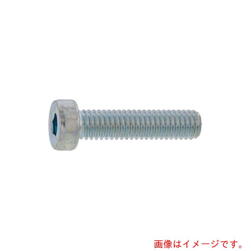 サンコーインダストリー（SUNCO） ＳＵＳローヘッドＣＡＰ １６×７０ （２５本入） 【品番：A0-02-L000-01600700-00】