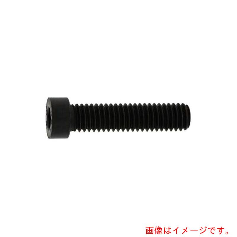 サンコーインダストリー（SUNCO） ステンレス鋼 小頭ローヘッドＣＡＰ １０×１６ （１００本入） 【品番：A0-02-L050-01000160-00】