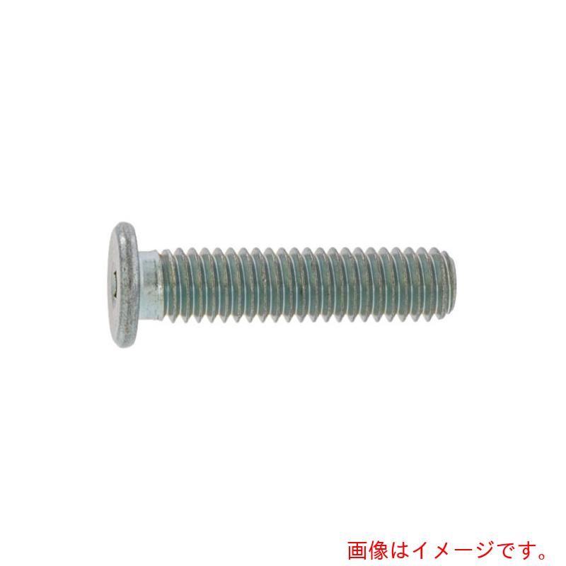 サンコーインダストリー（SUNCO）　ステンレス　極低頭キャップ　１０×２５　（１００本入）　【品番：A0-02-L100-01000250-00】