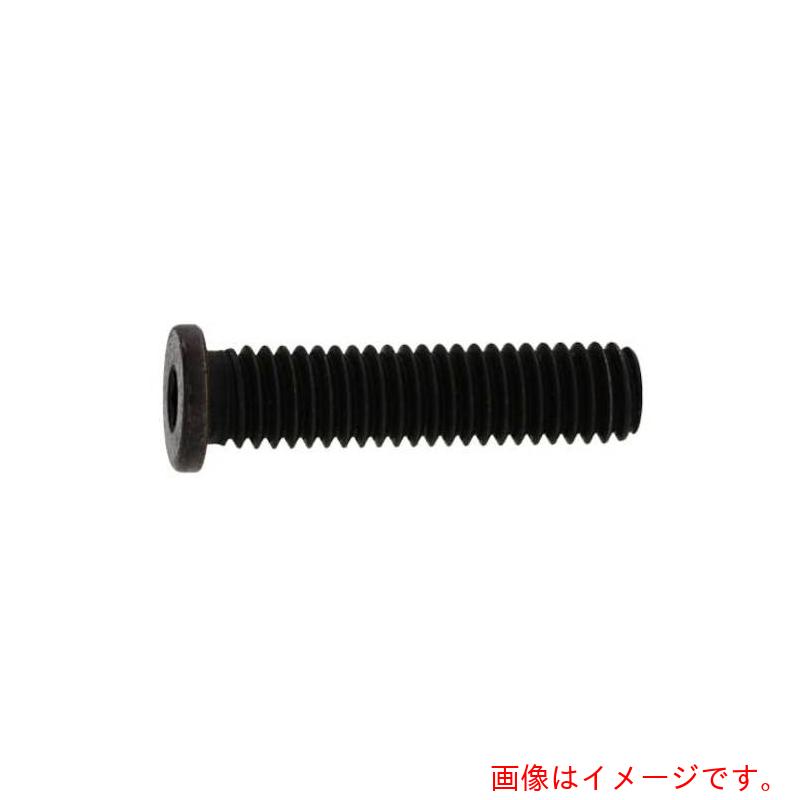 サンコーインダストリー（SUNCO）　ステンレス　小頭ＮＳローヘッド　３×８　（１０００本入）　【品番：A0-02-L350-00300080-00】