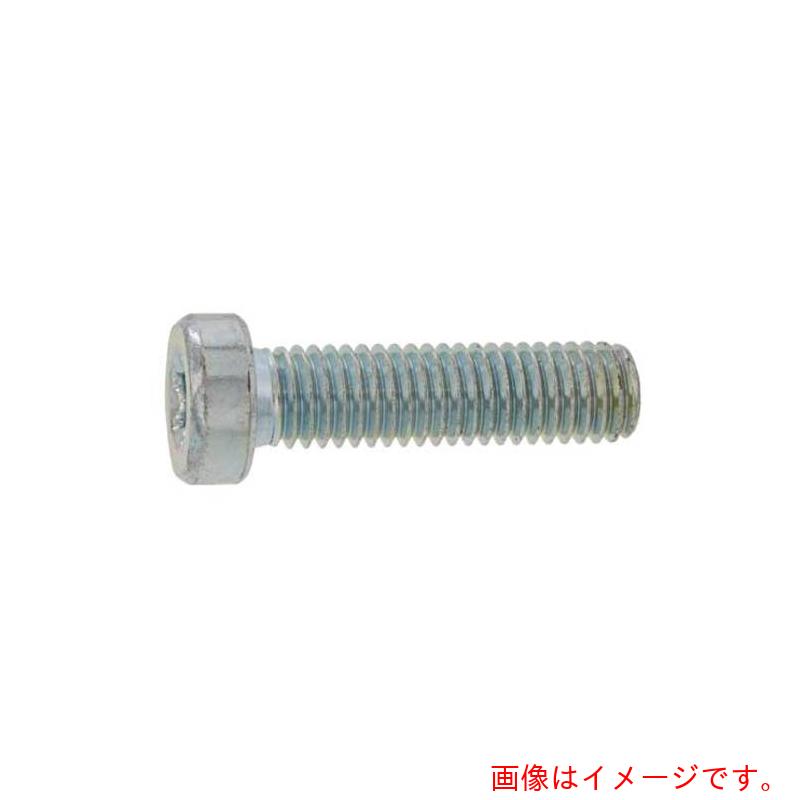 サンコーインダストリー（SUNCO） ステンレス鋼 ＴＲＸローヘッドＣＡＰ ３×２５ （５００本入） 【品番：A0-02-LT00-00300250-00】
