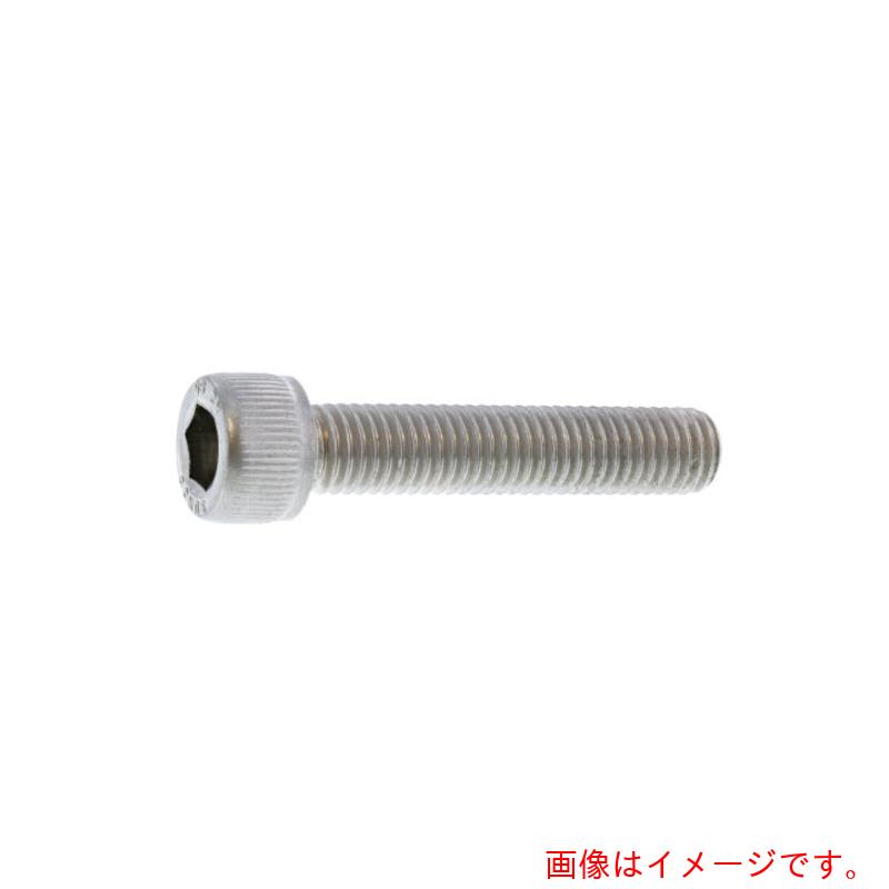 サンコーインダストリー（SUNCO）　Ａ２－８０プレミアステン　ＣＡＰ（全ネジ　１０Ｘ４５Ｘ４５　（５０本入）　【品番：A0-02-P010-01000450-00】