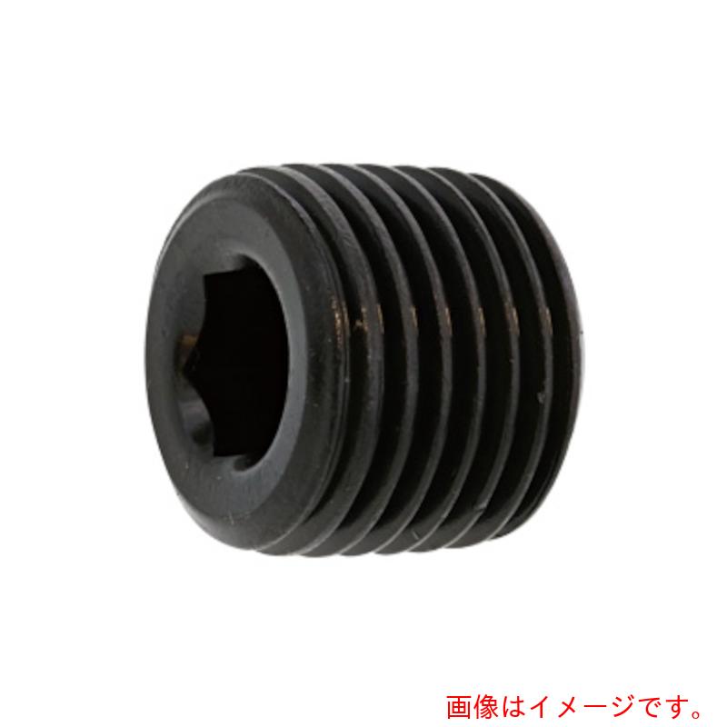 サンコーインダストリー(SUNCO) SUS316L テーパープラグ 浮き 3/8 (50本入) 【品番:A0-12-5700-80300000-00】|住設プロ 店