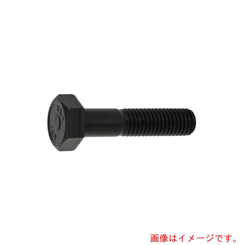 サンコーインダストリー（SUNCO）　クローム　１２．９　六角ボルト　２０Ｘ６５　（１５本入）　【品番：B0-00-0200-02000650-06】