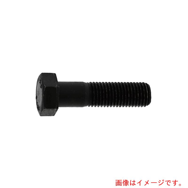 サンコーインダストリー（SUNCO） ドブ ８．８ 六角雄捻子 半螺旋釘 １６Ｘ７５ （４０本入） 【品番：B0-00-0310-01600750-12】