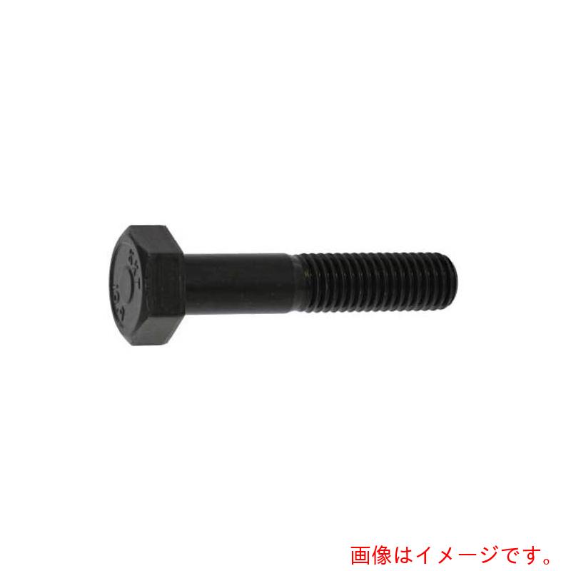 サンコーインダストリー（SUNCO）　１０．９　六角ボルト　１４Ｘ１１５Ｘ３４　（８０本入）　【品番：B0-00-0400-01401150-00】