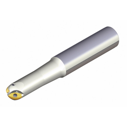 NTKカッティングツールズ TAEGUTEC ボールエンドミル 二重奏どんぶり鉢 ２枚刃 【品番：2F 25-35-32-L250-P】