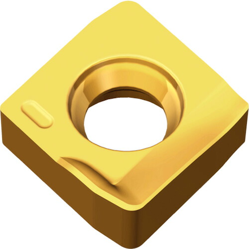 NTKカッティングツールズ　TAEGUTEC　ミーリング加工用チップ　チェイスＰミル　【10個】　【品番：2PKT 050304R-M TT9080】