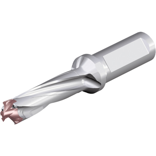NTKカッティングツールズ　TAEGUTEC　刃先交換式ドリルホルダー　ドリルスフィード　【品番：3ED 180-189-25T2-3D】
