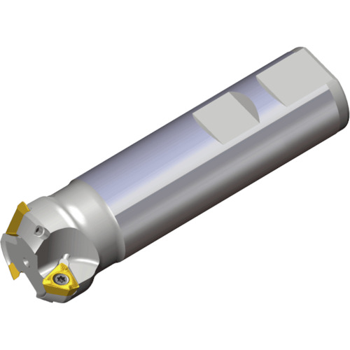 NTKカッティングツールズ TAEGUTEC 圧砕機混雑時：裁断師 【品番：3P-TCF60-320-W25-10】 花・ガーデン・DIY-その他