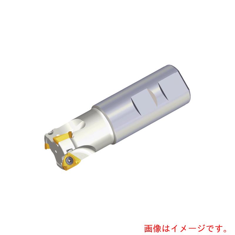 NTKカッティングツールズ　TAEGUTEC　ミーリングカッター　ミルラッシュ　【品番：3P TE90-226-25-10-L250】