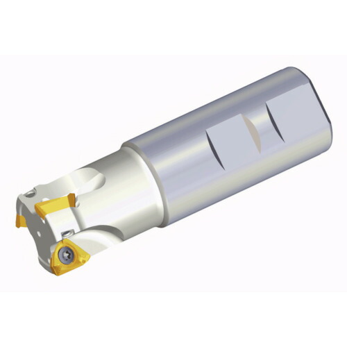 NTKカッティングツールズ　TAEGUTEC　ミーリングカッター　ミルラッシュ　【品番：3P TE90-317-16-06-L110】