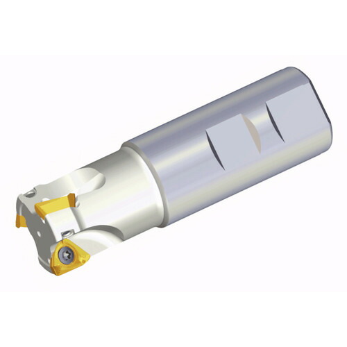 NTKカッティングツールズ　TAEGUTEC　ミーリングカッター　ミルラッシュ　【品番：3P TE90-630-W25-06】