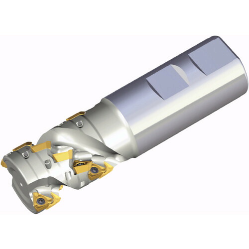 NTKカッティングツールズ　TAEGUTEC　ミーリングカッター　ミルラッシュ　【品番：3P TEF D40-42-W32-10】