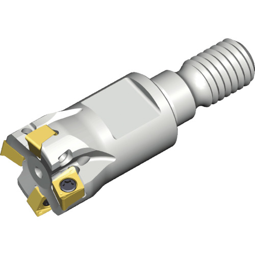 NTKカッティングツールズ TAEGUTEC ミーリングカッター チェイス4ミル 【品番:4N TE90-211-M06-04】