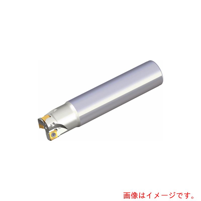 NTKカッティングツールズ　TAEGUTEC　ミーリングカッター　チェイス４ミル　【品番：4N TE90-217-16-06】