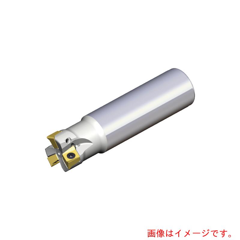 NTKカッティングツールズ　TAEGUTEC　ミーリングカッター　チェイス４ミル　【品番：4N TE90-325-25-09-L210】