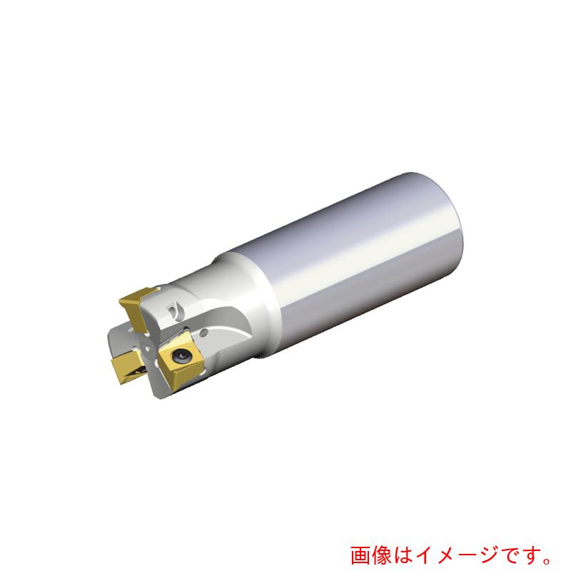 NTKカッティングツールズ TAEGUTEC ミーリング裁断師 チェイス４圧砕機 【品番：4N TE90-332-W32-11】 花・ガーデン・DIY-DIY・工具
