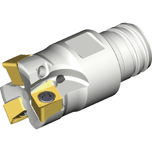 NTKカッティングツールズ　TAEGUTEC　ミーリングカッター　チェイス４ミル　【品番：4N TE90-416-S10-04】