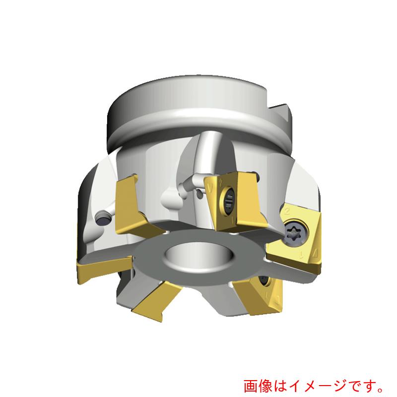 NTKカッティングツールズ TAEGUTEC ミーリング裁断師 チェイス４粉砕機 【品番：4N TF90-663-22R-14】