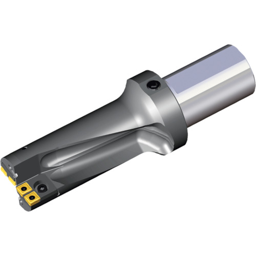 NTKカッティングツールズ　TAEGUTEC　刃先交換式ドリルホルダー　トップドリル　【品番：TOP 2051-55-50T2-09CA】