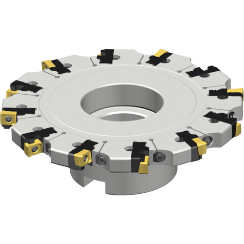 【別途送料あり】NTKカッティングツールズ　TAEGUTEC　トップスロット　【品番：TSM 250FF-S-60R-ZN14】
