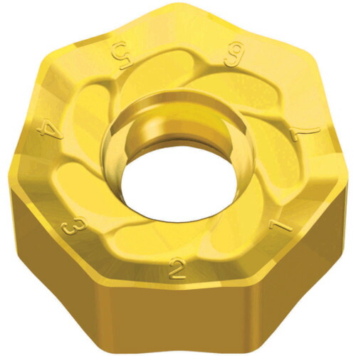 NTKカッティングツールズ TAEGUTEC ミーリング工業用心付け チェイス２ヘプタ 【10個】 【品番：XNHU 0605 ANN-MM   TT2510】