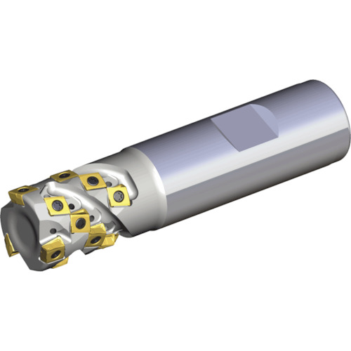 NTKカッティングツールズ　TAEGUTEC　ヘリカルエンドミル　タングスフィード　１８枚刃　【品番：4T-TEF D20-23-W20-05】