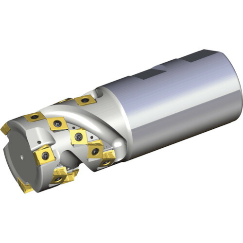 NTKカッティングツールズ TAEGUTEC ヘリカルエンドミル タングスフィード ２１枚刃 【品番：4T-TEF D40-51-W40-09】