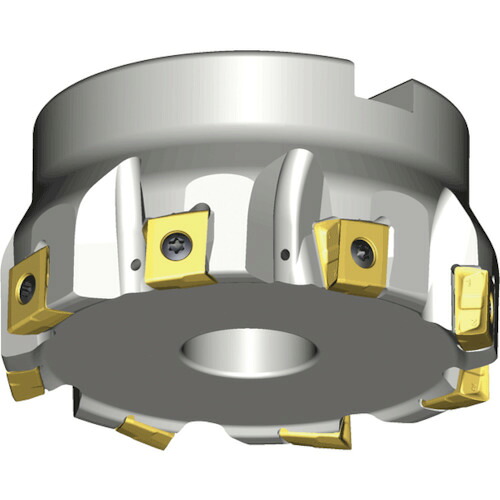 NTKカッティングツールズ TAEGUTEC 人間の顔粉砕機 タングスフィード １０枚刃 【品番：4T-TF90-1080-27R-14】