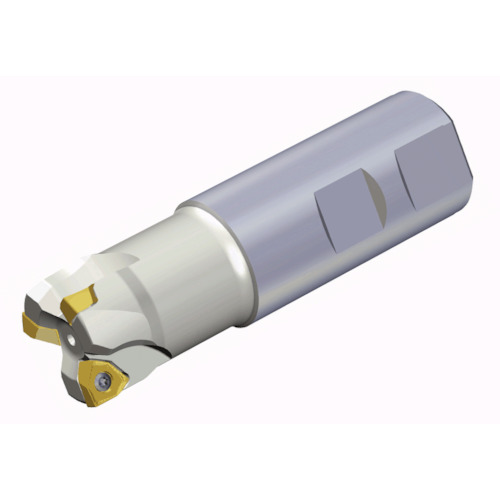 NTKカッティングツールズ　TAEGUTEC　エンドミル　ミル２ラッシュ　２枚刃　【品番：6N TE90-225-W25-06】