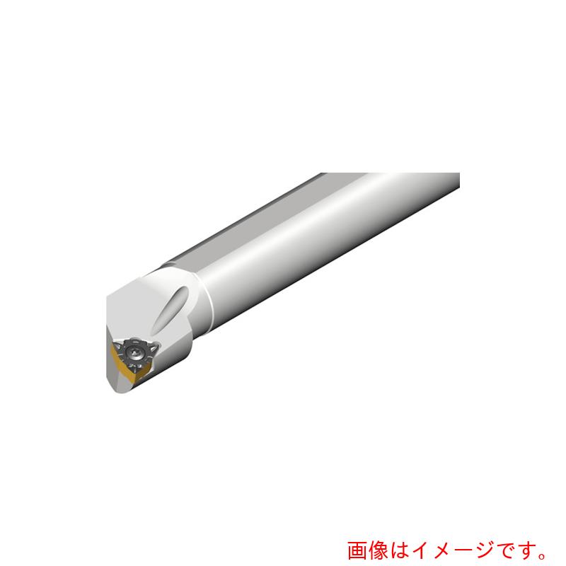 NTKカッティングツールズ　TAEGUTEC　ライノＭターン　内径加工用ボーリングバー　【品番：A16Q SWLNR 0403】