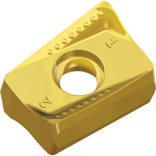 NTKカッティングツールズ TAEGUTEC ミーリング処理用手当て チェイス２圧砕機 【10個】 【品番：ANHX 160708R-ML    TT8020】 花・ガーデン・DIY-その他
