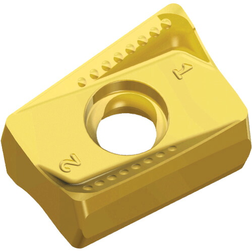 NTKカッティングツールズ TAEGUTEC ミーリング処理用手当て チェイス２圧砕機 【10個】 【品番：ANHX 160708R-MR    TT8080】 花・ガーデン・DIY-DIY・工具