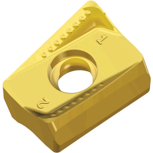 NTKカッティングツールズ TAEGUTEC ミーリング処理用手当て チェイス２圧砕機 【10個】 【品番：ANHX 160708R-M     TT7080】 その他-DIY・工具