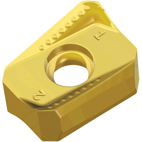 NTKカッティングツールズ TAEGUTEC ミーリング処理用手当て チェイス２圧砕機 【10個】 【品番：ANHX 1607 ANR-M    TT7080】 花・ガーデン・DIY-DIY・工具