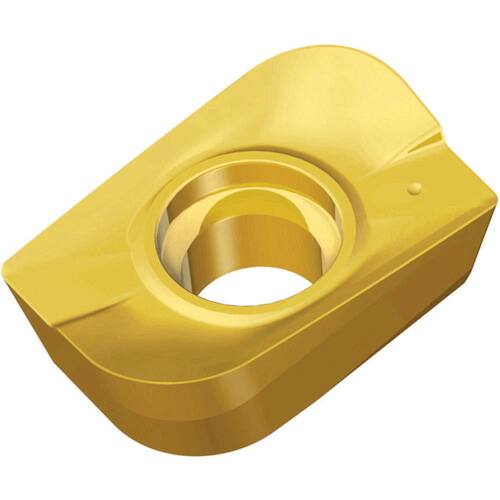 NTKカッティングツールズ　TAEGUTEC　ミーリング加工用チップ　チェイスミル　【10個】　【品番：APCT 120430R-ML TT9080】
