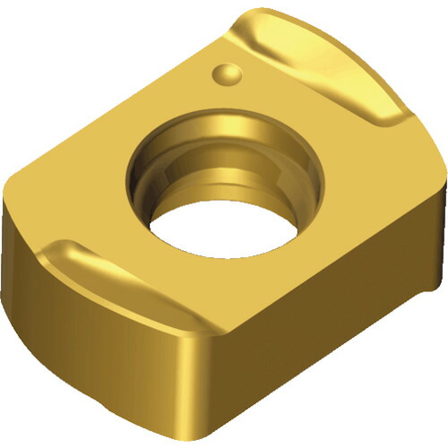NTKカッティングツールズ　TAEGUTEC　ミーリング加工用チップ　チェイス４フィード　【10個】　【品番：BLMP 0402R-M TT2510】