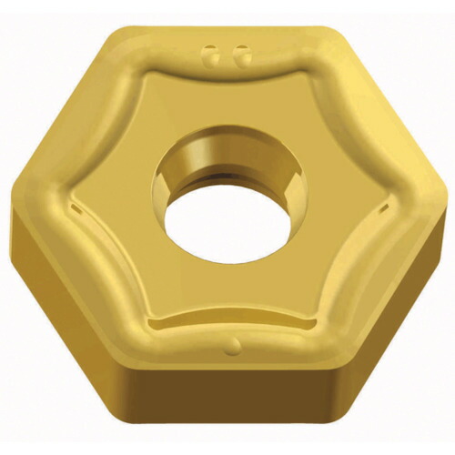 NTKカッティングツールズ TAEGUTEC ミーリング産業用手当て ヘキサ２圧砕機 【10個】 【品番：HNHX 1006ANTN-ML   TT6080】