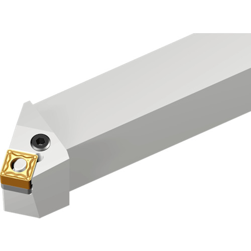 NTKカッティングツールズ　TAEGUTEC　ライノターン　ＥＣＯ　【品番：HSSNR 2525 M0904】