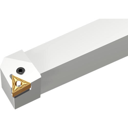 NTKカッティングツールズ TAEGUTEC ライノターン 外径加工用保持者（引っかかり生き胆） 【品番：HTGNR 1616 H1304】