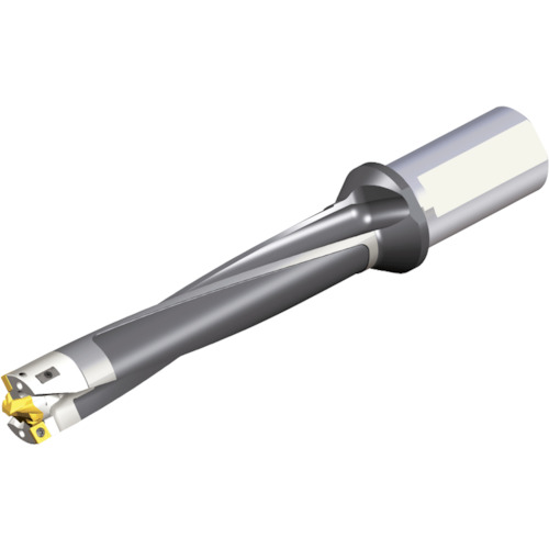 NTKカッティングツールズ　TAEGUTEC　刃先交換式ドリルホルダー　モジュールドリル　【品番：MDB D36/37-185-40T2-C36-5】