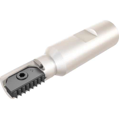 NTKカッティングツールズ TAEGUTEC ミルスレッド 【品番：MTE D48-1-W40-40】
