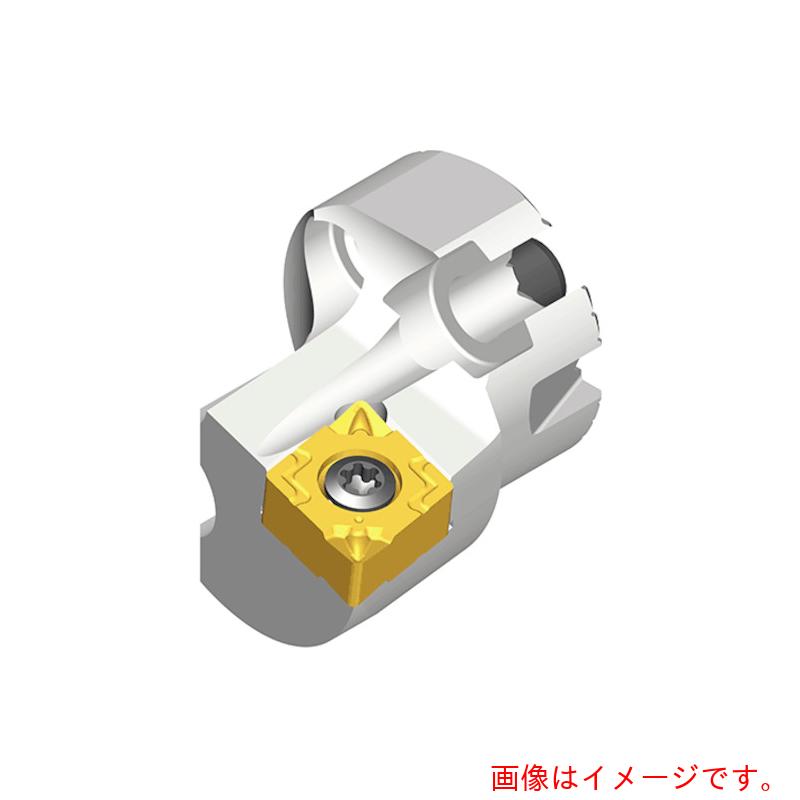 NTKカッティングツールズ　TAEGUTEC　ボーリングバー交換式ヘッド　ハッシュボア　【品番：QH16-SCLNR-0703】