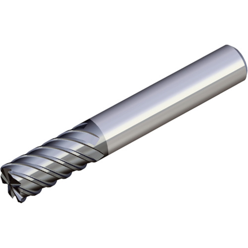 NTKカッティングツールズ TAEGUTEC ソリッドエンドミル 【品番：SEH 6100T-R1.0     TT5515】 花・ガーデン・DIY-その他