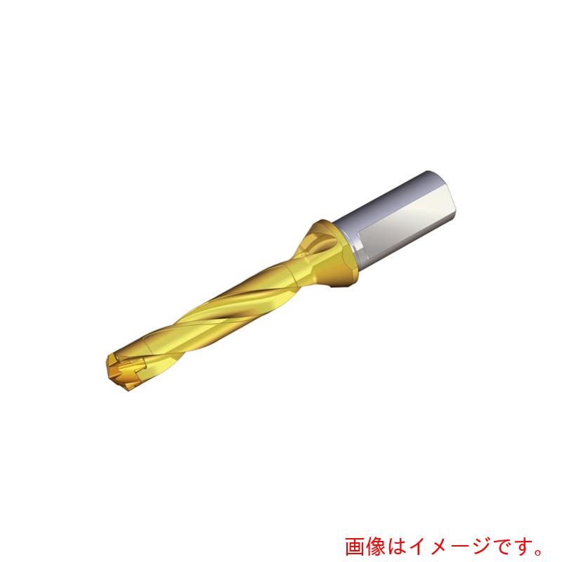 NTKカッティングツールズ　TAEGUTEC　刃先交換式ドリルホルダー　ドリルラッシュ　【品番：TCD 065-069-12T3-5D】