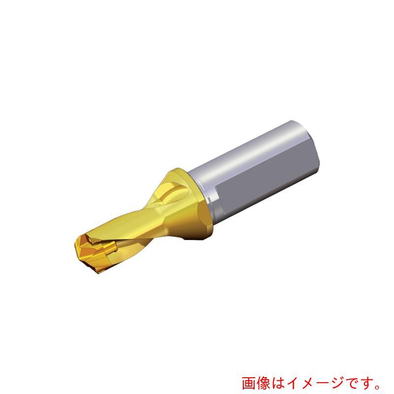 NTKカッティングツールズ TAEGUTEC 刃先交換式ドリルホルダー ドリルラッシュ 【品番：TCD 075-079-12T3-1.5D】