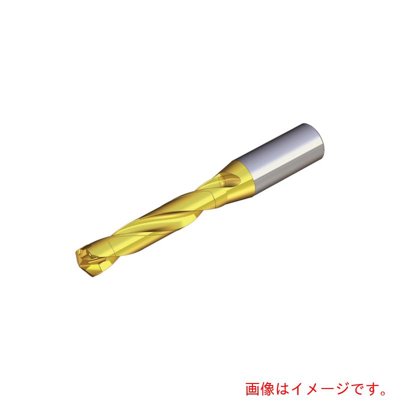 NTKカッティングツールズ TAEGUTEC 刃先取り替えっこ式せん孔機保持者 せん孔機混雑時 【品番：TCD 190-199-25S0-5D】