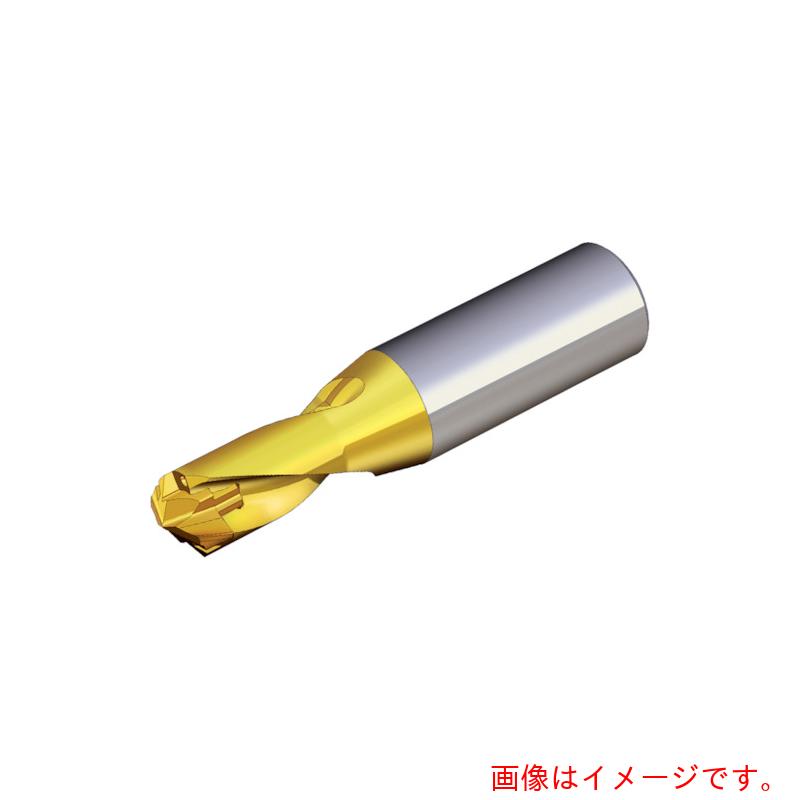 NTKカッティングツールズ TAEGUTEC 刃先取り替えっこ式せん孔機保持者 せん孔機混雑時 【品番：TCD 200-209-25S0-1.5D】